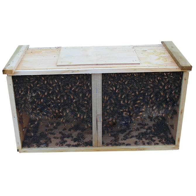 Package Bees 3lb. Spring 2026