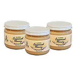 16oz Creamed Honey: 12 Jars