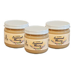16oz Creamed Honey: 12 Jars 16oz Creamed Honey: 12 Jars