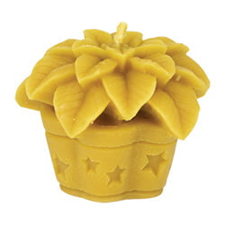 Poinsettia Candle Mold Poinsettia Candle Mold